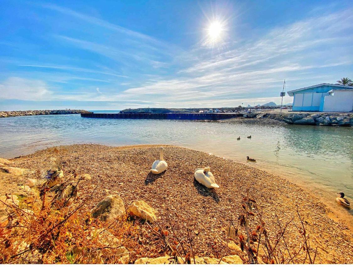 50M Plage / 200M Hippodrome 2 Pieces Jardin Garage Cagnes-sur-Mer Zewnętrze zdjęcie